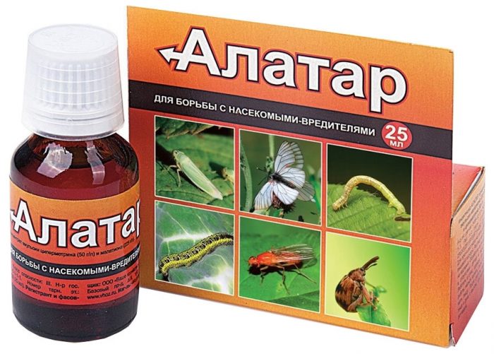 Ефективність інсектициду Алатар для боротьби з павутинним кліщем