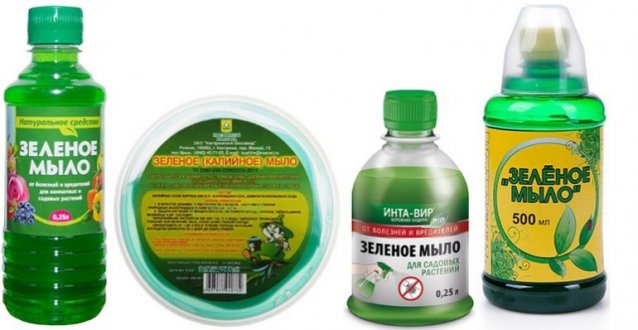 Как избавиться от паутинного клеща зеленым, дегтярным или хозяйственным мылом