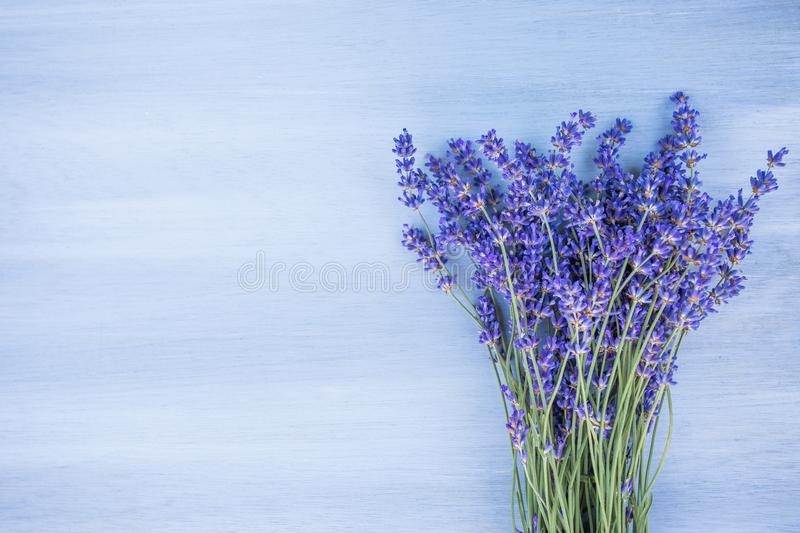 Квіти лаванди на синьому дерев'яному приміщенні