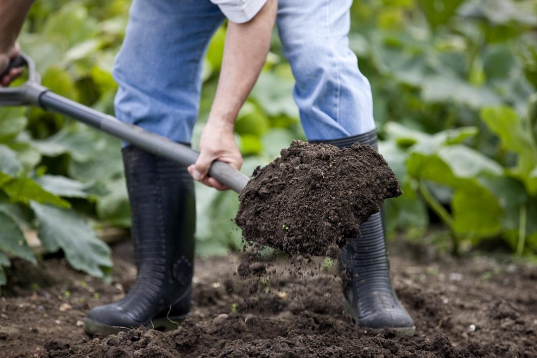 Почва: подготовка участка к весенней посадке